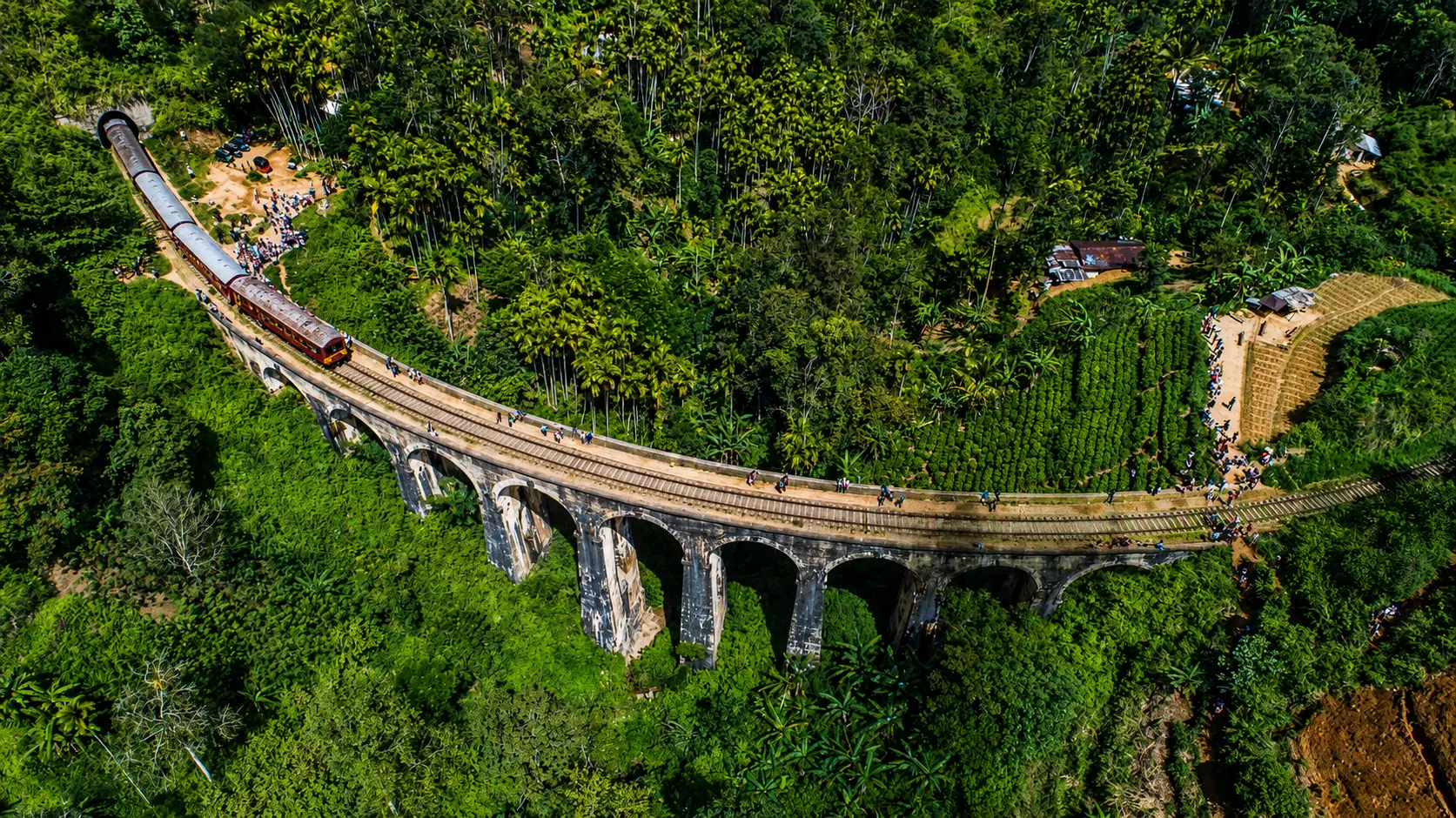 Train crossing Nine Arch Bridge in Sri Lanka